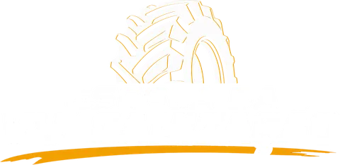 Escola da Vulcanização